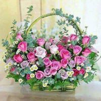 Judy Richardson Photo 47