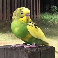 Julie Humphries Photo 31