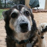 Carrie Shepard Photo 20