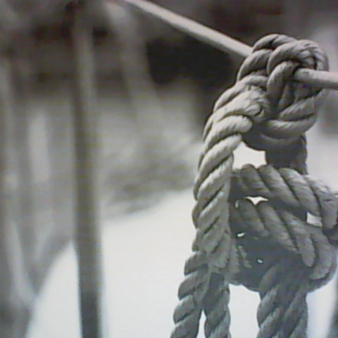 Vicky Baker Photo 21