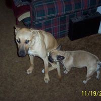 Dennis Albrecht Photo 9