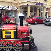 Stephen Marcum Photo 19