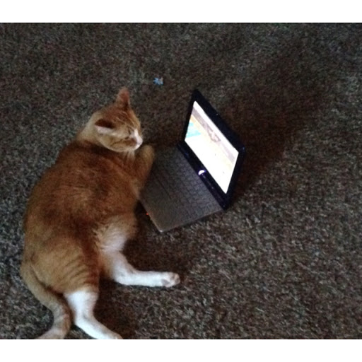 Matthew Perdue Photo 4