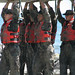 Sandy Seals Photo 19