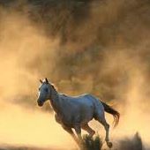 Jerry Becker Photo 26