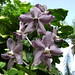 John Fuchs Photo 25