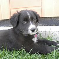 Diane Wills Photo 14