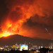 Brad Herman Photo 27