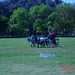 Stacey Rhodes Photo 43