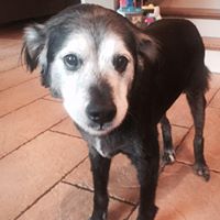 Christopher Kane Photo 11