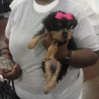 Renee Pickens Photo 11