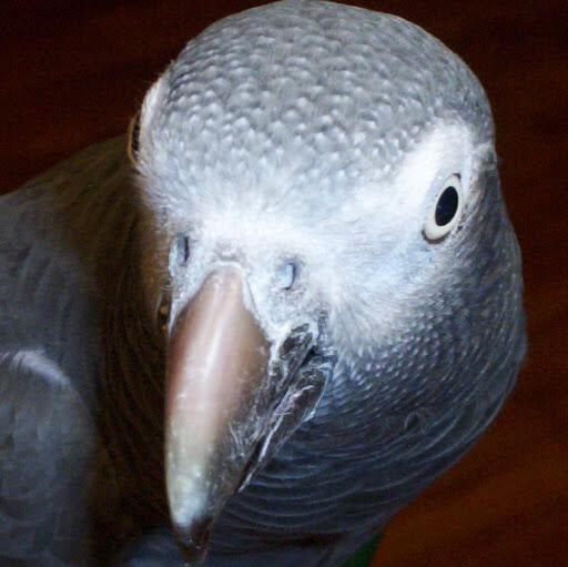 Kathleen Norman Photo 28