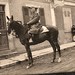 Charles Ross Photo 35