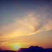Dawn Ingersoll Photo 6