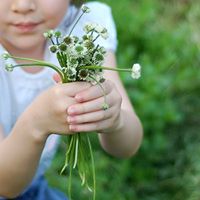 Jana Schulz Photo 10