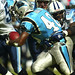 Stephen Davis Photo 13