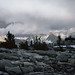 Albert Muir Photo 13