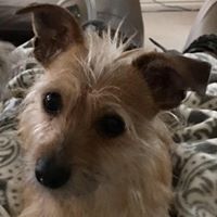 Christine Churchill Photo 28