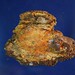 Chang Chou Photo 15