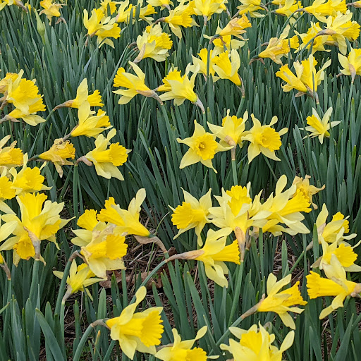 Joyce Cooper Photo 36