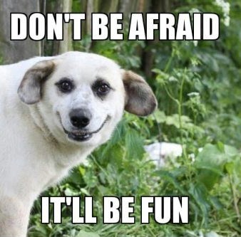 Connor Molloy Photo 15