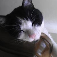 Karen Gilbert Photo 25 Karen Gilbert Photo 25