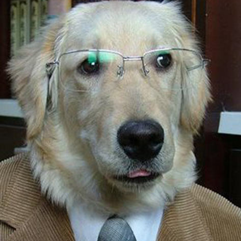 John Weathers Photo 32