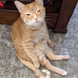 Scott Bowen Photo 44