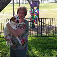 Robin Shepherd Photo 25