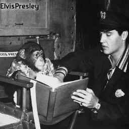 Marie Roberts Photo 35