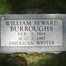Mark Burroughs Photo 37