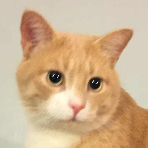 Jonathan Williams Photo 35