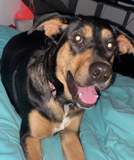 Laura Whitlock Photo 15