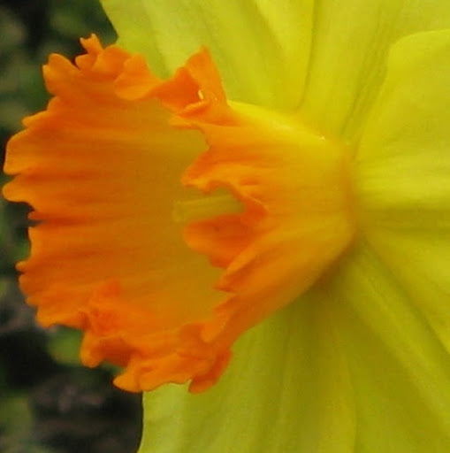 Rebecca Pierson Photo 14