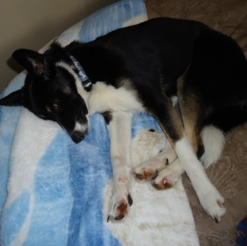 Julia Saunders Photo 30