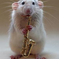 Lawrence Drake Photo 16