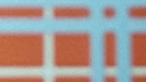 Annie Oliver Photo 9