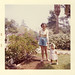 Phyllis Summers Photo 20