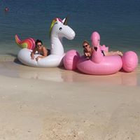 Donna Hickman Photo 7