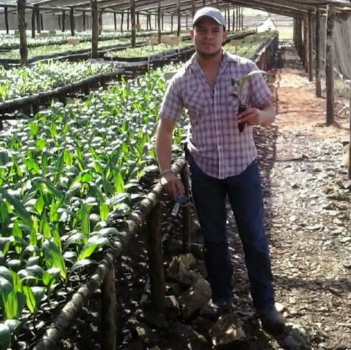 Julio Mayorga Photo 20