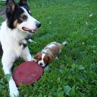 Gary Willett Photo 30