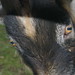 Timothy Holler Photo 5