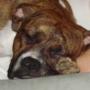 Michele Straub Photo 6