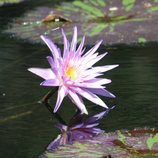 Lisa Hazard Photo 13