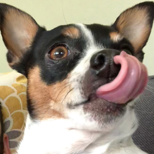 Timothy Dunne Photo 26