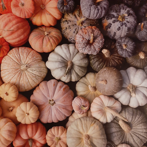 Jennifer Herbst Photo 6