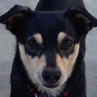 Shawna Armstrong Photo 7