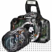 Edgardo Perez Photo 20