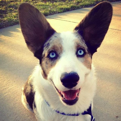 Melissa Watts Photo 29