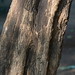 Xiang Liao Photo 25